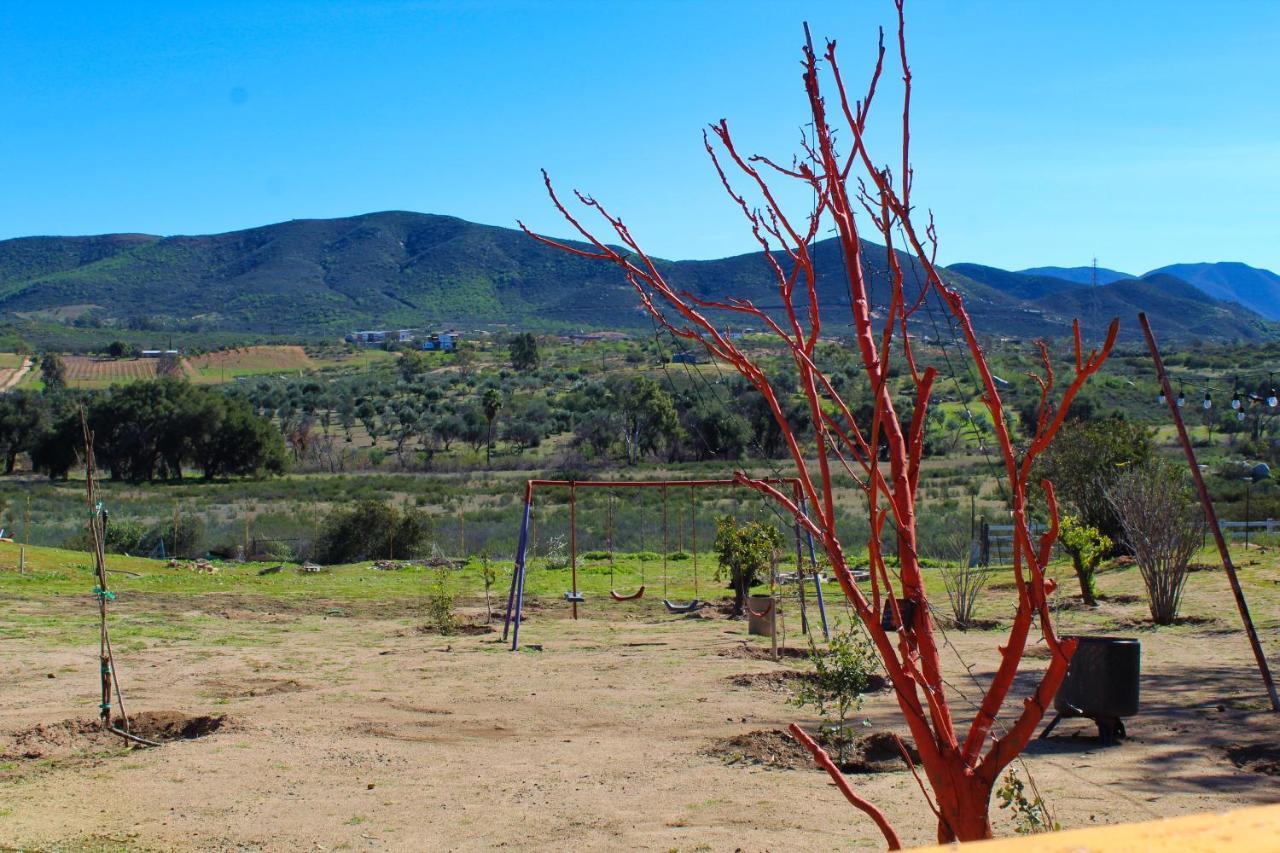 Rancho Matalote En Valle De Guadalupe Buitenkant foto