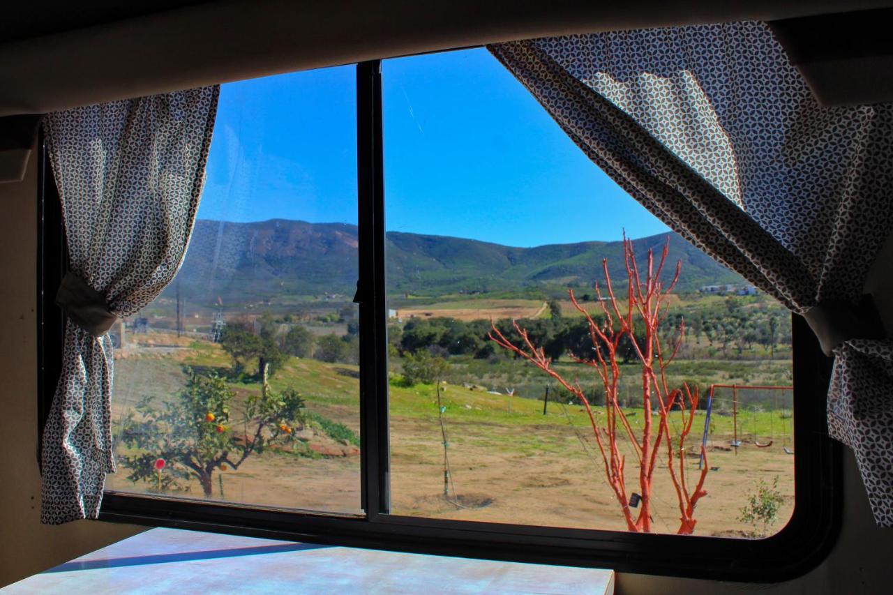 Rancho Matalote En Valle De Guadalupe Buitenkant foto
