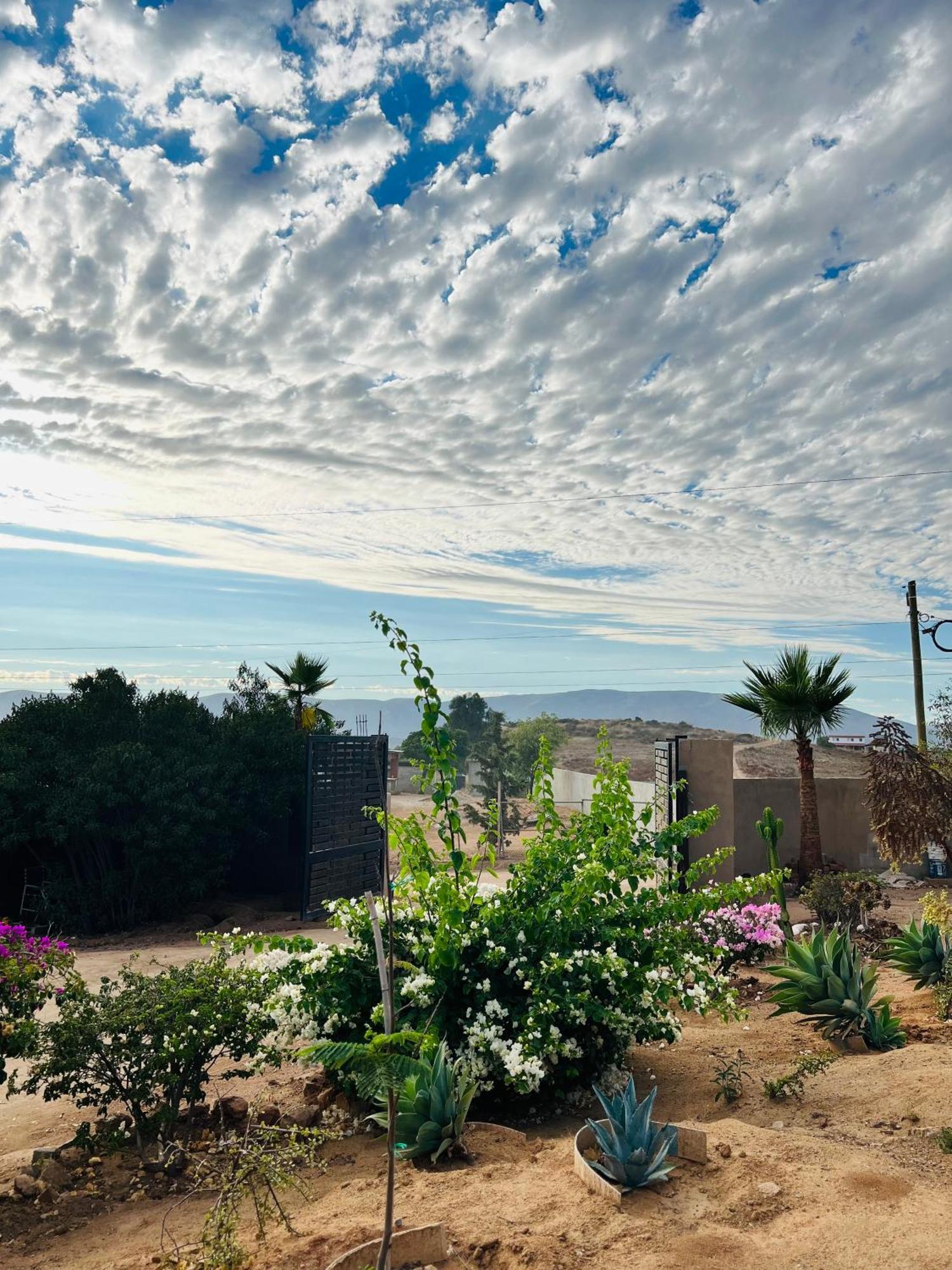 Rancho Matalote En Valle De Guadalupe Buitenkant foto