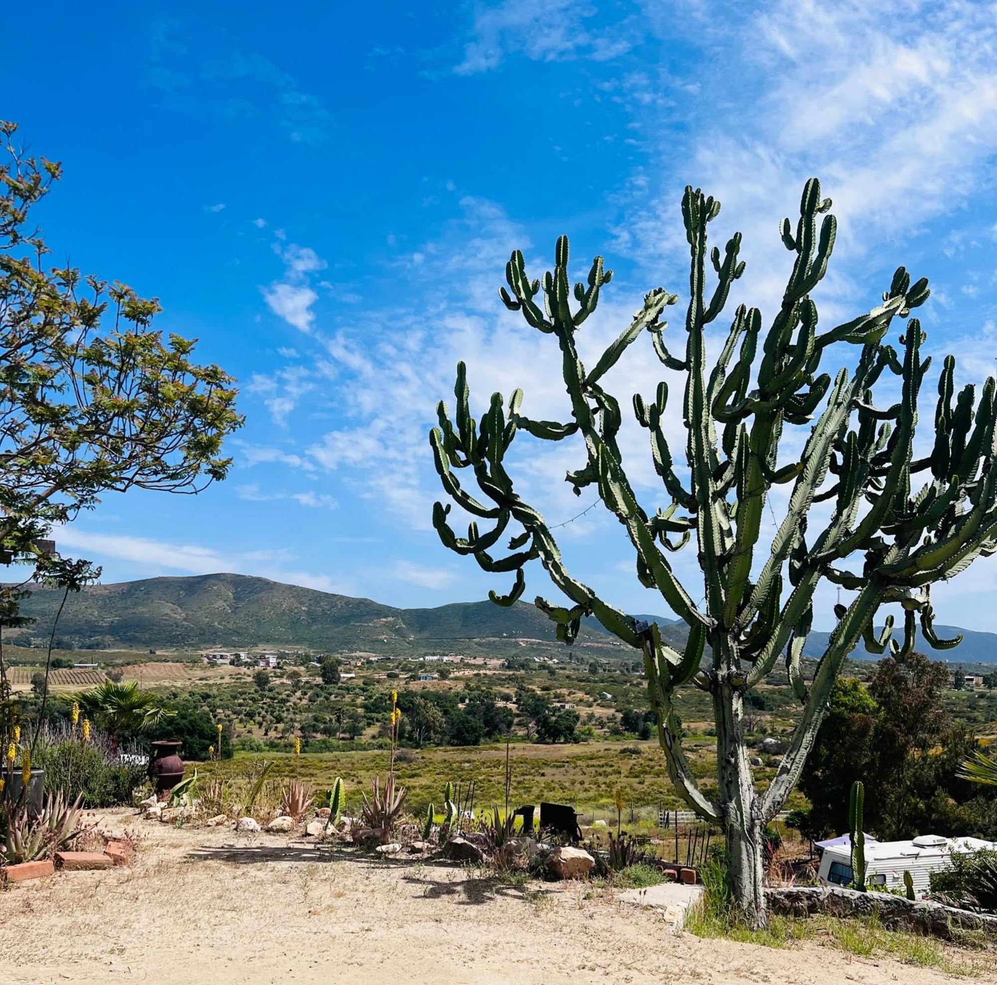 Rancho Matalote En Valle De Guadalupe Buitenkant foto